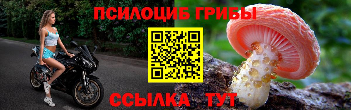 Аксай  Галлюциногенные грибы MAGIC MUSHROOMS  Псилоцибиновые грибы ЛСД  где можно купить   Вход с VPN 